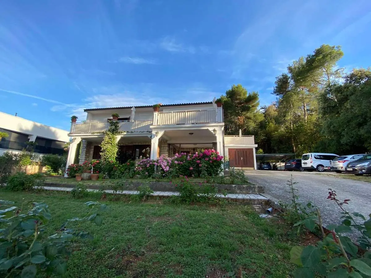 Villa Matohanca Ρόβινι Bed and Breakfast